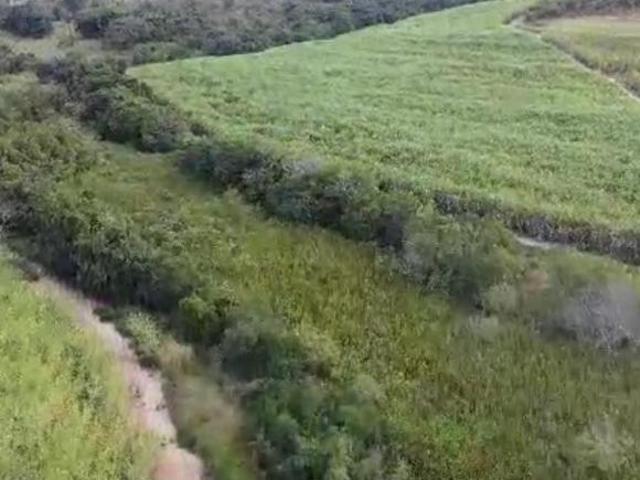 Sítio e chácara venda em Região Imediata de São Paulo, Região Metropolitana de São Paulo