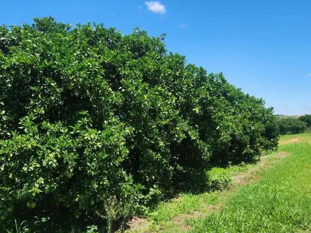 Fazenda venda em Região Imediata de São Paulo, Região Metropolitana de São Paulo