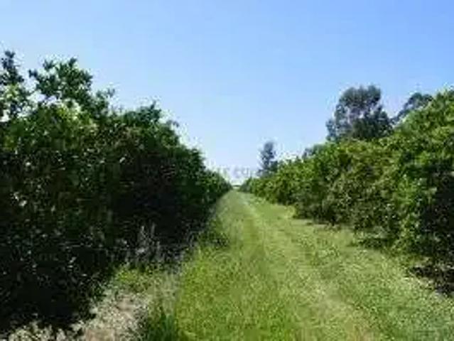 Fazenda venda em Região Imediata de São Paulo, Região Metropolitana de São Paulo