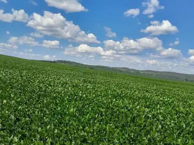 Fazenda venda em Região Imediata de São Paulo, Região Metropolitana de São Paulo