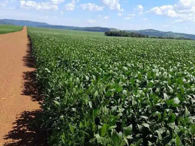 Fazenda venda em Região Imediata de São Paulo, Região Metropolitana de São Paulo