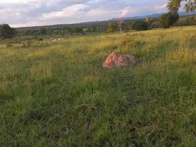 Fazenda venda em Região Geográfica Imediata de Jaciara, São Pedro da Cipa