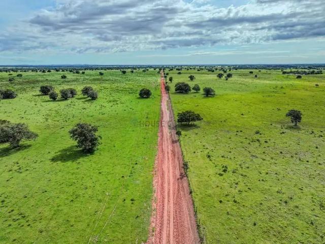 Fazenda venda em Região Geográfica Imediata de Jaciara, São Pedro da Cipa