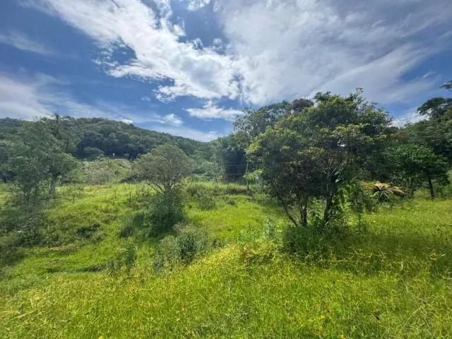 Fazenda venda em Região Geográfica Imediata de Florianópolis, São Pedro de Alcântara