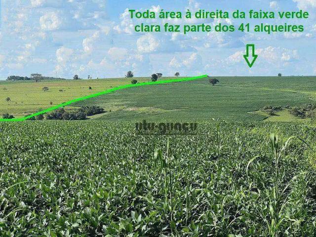 Fazenda venda em Região Imediata de Ourinhos, São Pedro do Turvo