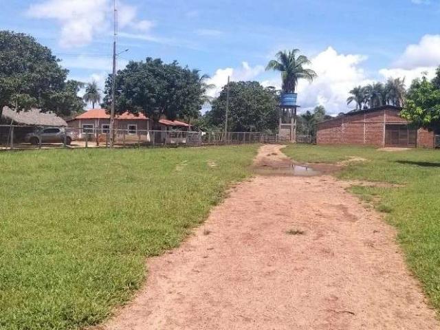 Fazenda venda em Lagoa do Mato, Região Nordeste