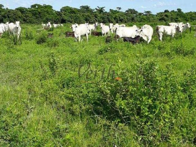 Fazenda venda em Região Imediata de São Paulo, Região Metropolitana de São Paulo