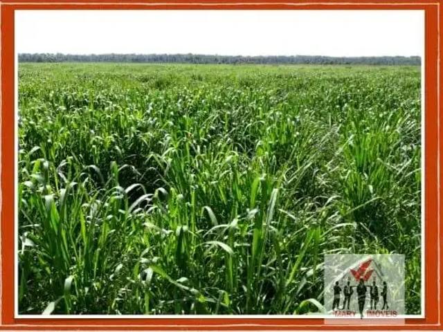 Fazenda venda em Região Imediata de São Paulo, Região Metropolitana de São Paulo