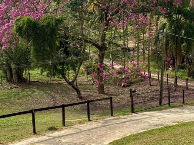 Sítio e chácara venda em Região Imediata de Sorocaba, Região Metropolitana de Sorocaba