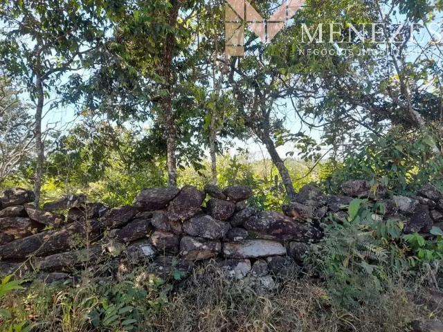 Fazenda venda em São Roque de Minas, Região Geográfica Intermediária de Varginha