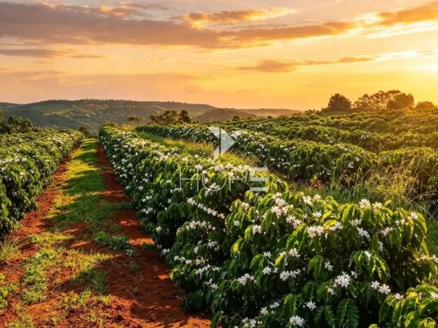 Fazenda venda em Campos Altos, Região Geográfica Intermediária de Uberaba