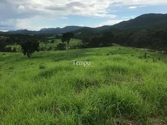 Fazenda venda em Região Geográfica Imediata de Gurupi, São Salvador do Tocantins