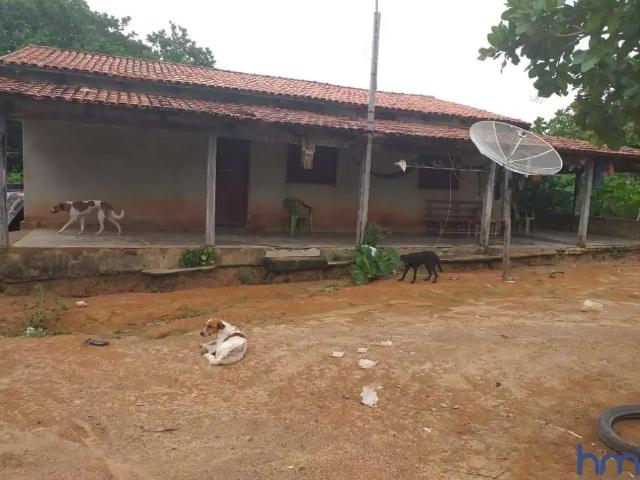 Fazenda venda em Região Geográfica Imediata de Gurupi, São Salvador do Tocantins
