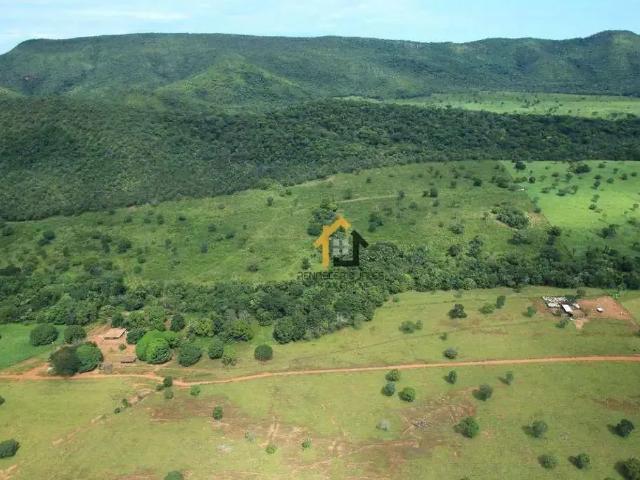 Fazenda venda em Região Geográfica Imediata de Gurupi, São Salvador do Tocantins