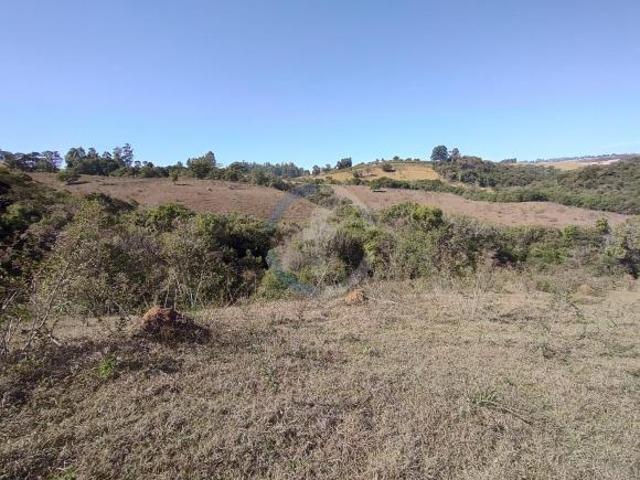 Sítio e chácara venda em Vila Dalva, São Sebastião do Paraíso