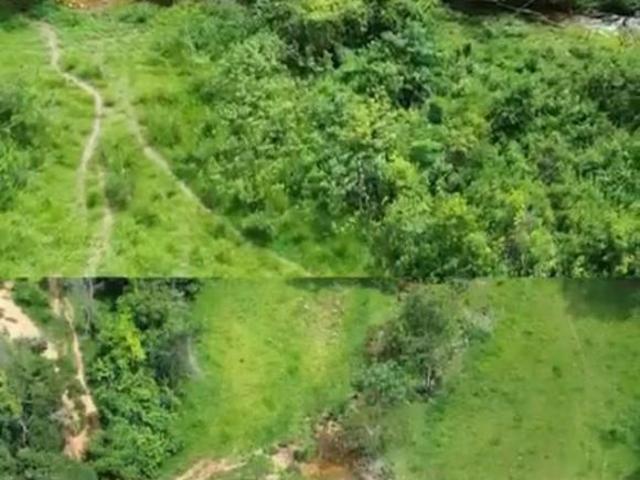 Sítio e chácara venda em Vila Dalva, São Sebastião do Paraíso