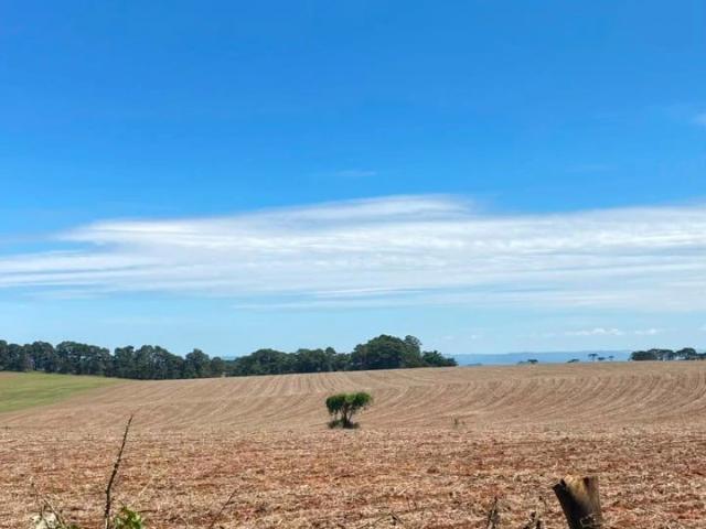 Fazenda venda em São Sebastião do Paraíso, Região Geográfica Intermediária de Varginha