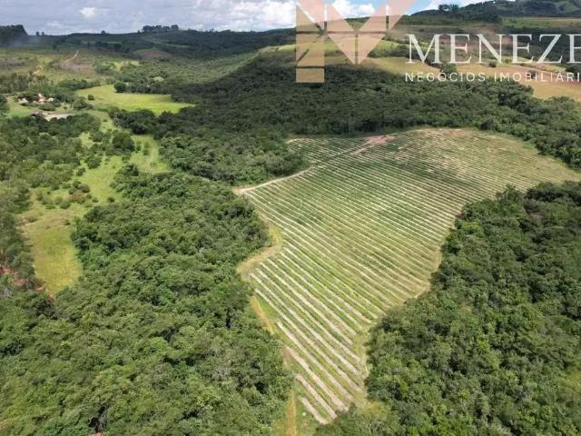 Fazenda venda em Região Geográfica Imediata de São Sebastião do Paraíso, São Sebastião do Paraíso