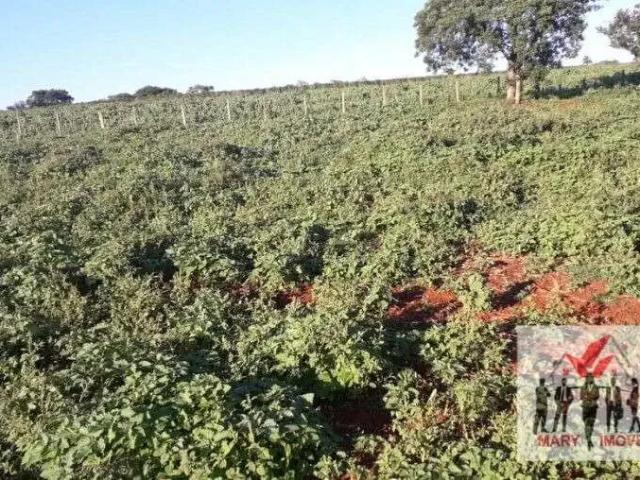 Fazenda venda em Região Geográfica Imediata de São Sebastião do Paraíso, São Sebastião do Paraíso