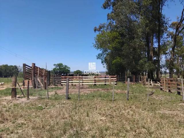 Fazenda venda em Região Geográfica Imediata de Santa Maria, São Sepe