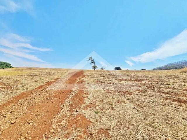 Fazenda venda em Região Imediata de Ribeirão Preto, Região Metropolitana de Ribeirão Preto
