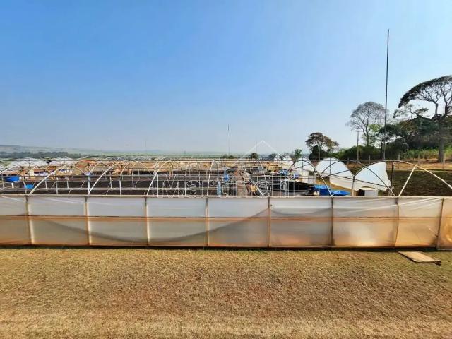 Fazenda venda em Região Imediata de Ribeirão Preto, Região Metropolitana de Ribeirão Preto