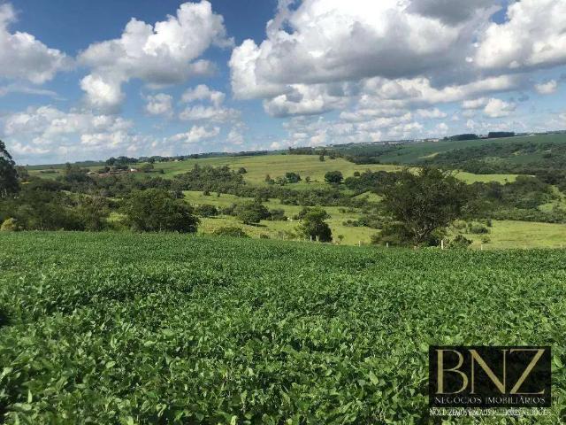 Fazenda venda em Região Geográfica Imediata de Londrina, Sabáudia