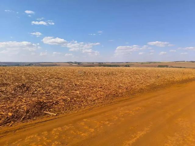 Fazenda venda em Região Geográfica Imediata de Uberaba, Sacramento