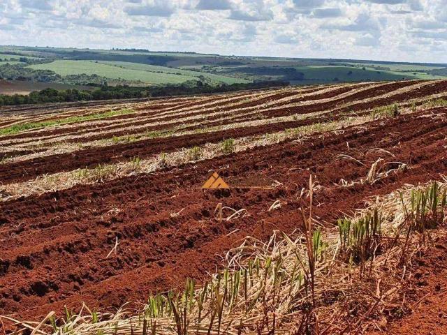 Fazenda venda em Região Geográfica Imediata de Uberaba, Sacramento