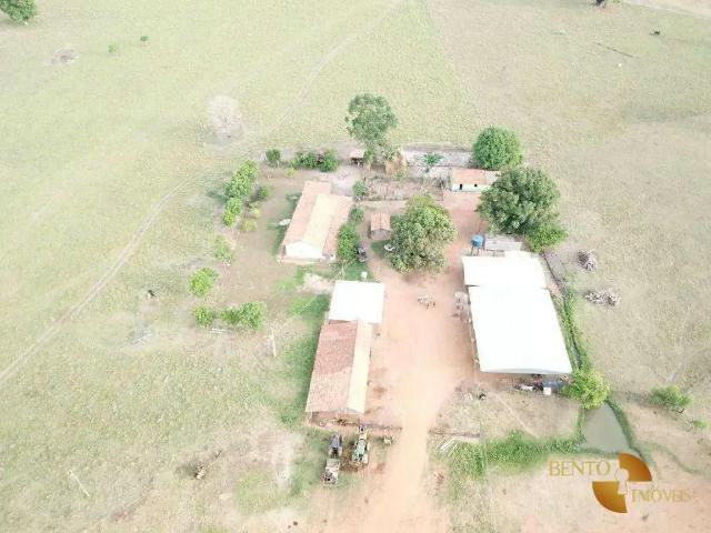 Fazenda venda em Região Geográfica Imediata de Alta Floresta, Nova Bandeirantes