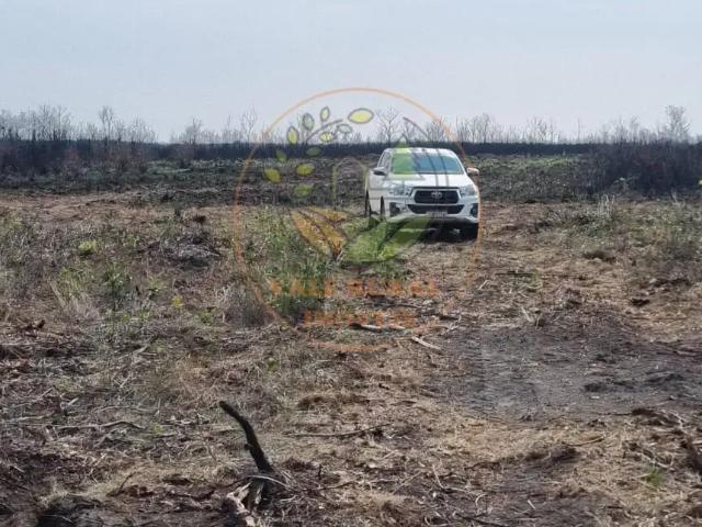 Fazenda venda em Região Geográfica Imediata de Cáceres, Salto do Céu