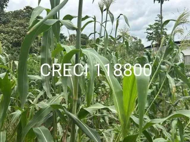 Fazenda venda em Região Imediata de Sorocaba, Região Metropolitana de Sorocaba