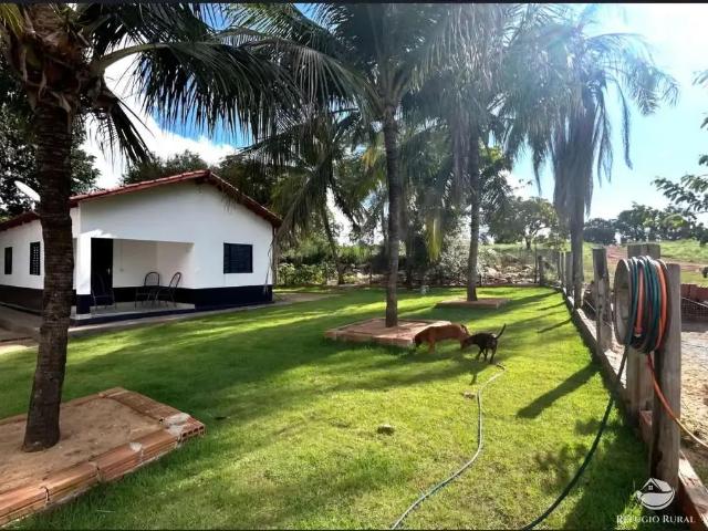Fazenda venda em Região Geográfica Imediata de Rio Verde, Rio Verde
