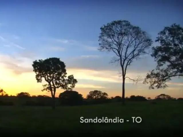 Fazenda venda em Região Geográfica Imediata de Gurupi, Sandolândia