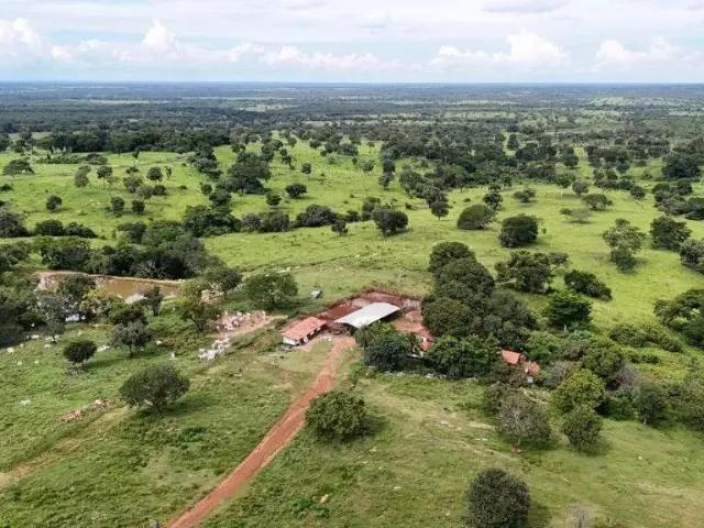 Fazenda venda em Região Geográfica Imediata de Gurupi, Sandolândia