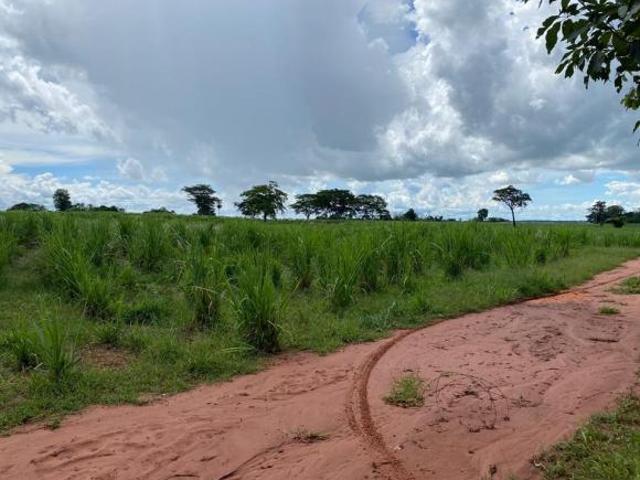 Sítio e chácara venda em Região Imediata de Jales, Santa Albertina
