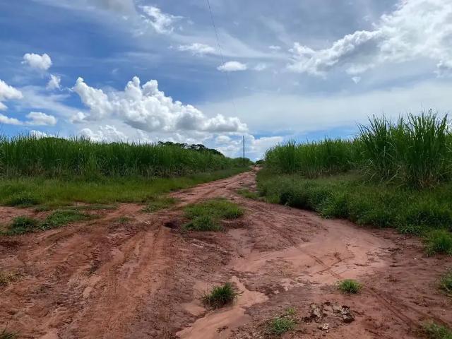 Fazenda venda em Região Imediata de Jales, Santa Albertina