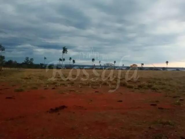 Fazenda venda em Região Imediata de Santa Fé do Sul, Santa Fé do Sul