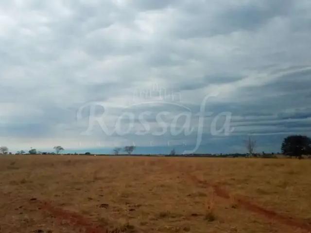 Fazenda venda em Região Imediata de Santa Fé do Sul, Santa Fé do Sul