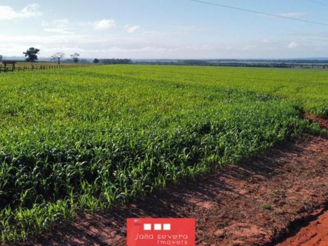 Sítio e chácara venda em Região Geográfica Imediata de Loanda, Santa Cruz de Monte Castelo