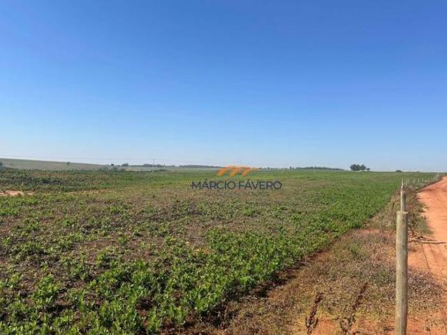 Sítio e chácara venda em Região Imediata de Ourinhos, Santa Cruz do Rio Pardo