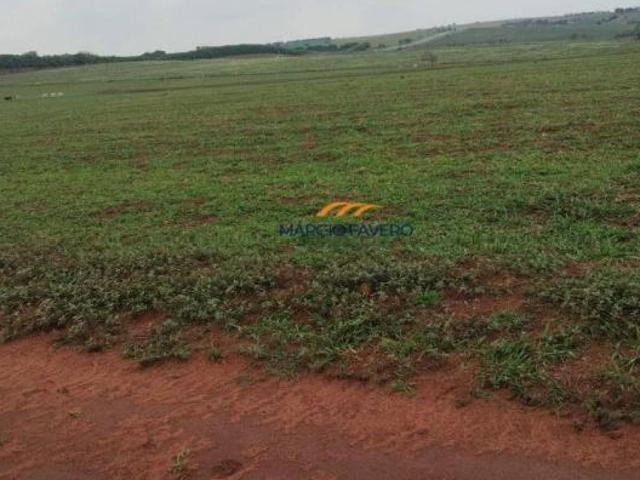 Sítio e chácara venda em Região Imediata de Ourinhos, Santa Cruz do Rio Pardo