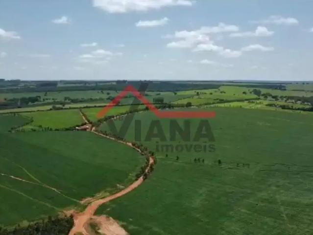 Fazenda venda em Região Imediata de Ourinhos, Santa Cruz do Rio Pardo