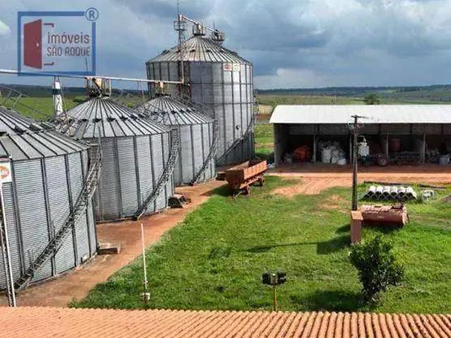 Fazenda venda em Região Imediata de Ourinhos, Santa Cruz do Rio Pardo