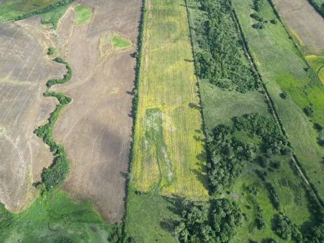 Fazenda venda em Região Geográfica Imediata de Santa Cruz do Sul, Santa Cruz do Sul