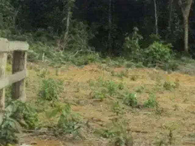 Fazenda venda em Região Geográfica Imediata de Confresa - Vila Rica, Santa Cruz do Xingu