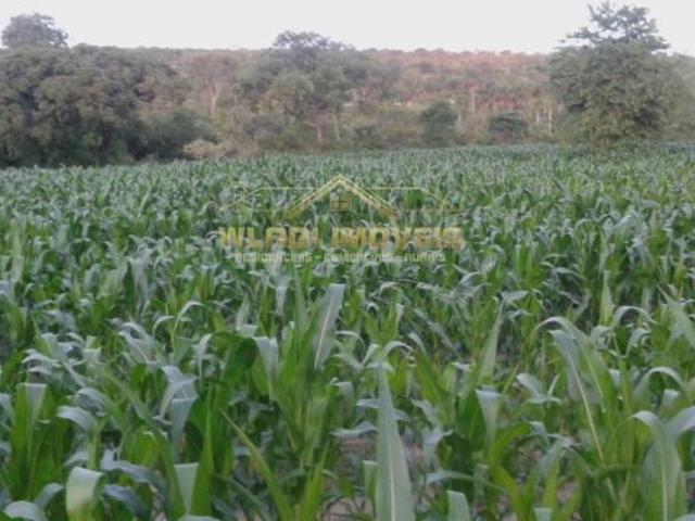 Sítio e chácara venda em Região Geográfica Imediata de Pirapora, Santa Fé de Minas