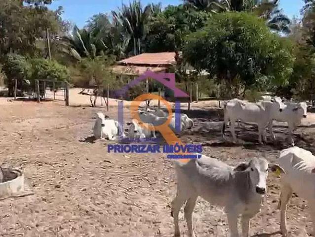 Fazenda venda em Região Geográfica Imediata de Pirapora, Santa Fé de Minas