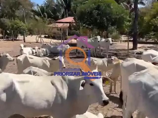 Fazenda venda em Região Geográfica Imediata de Pirapora, Santa Fé de Minas