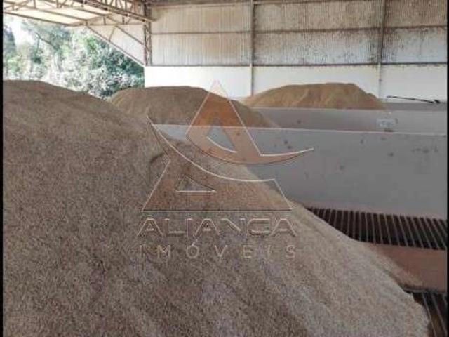 Fazenda venda em Santa Fé do Araguaia, Região Geográfica Intermediária de Araguaína